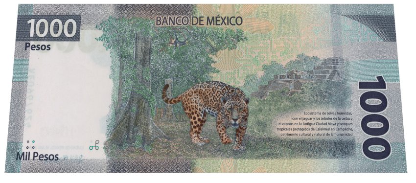 The-Newest-Banknotes-Of-Mexico